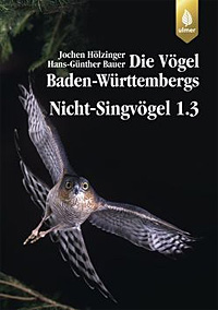 Avifauna Greifvögel