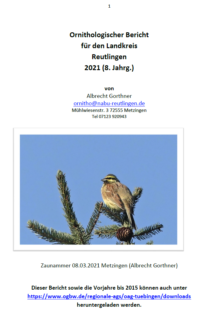 Ornithologischer Jahresbericht 2021
